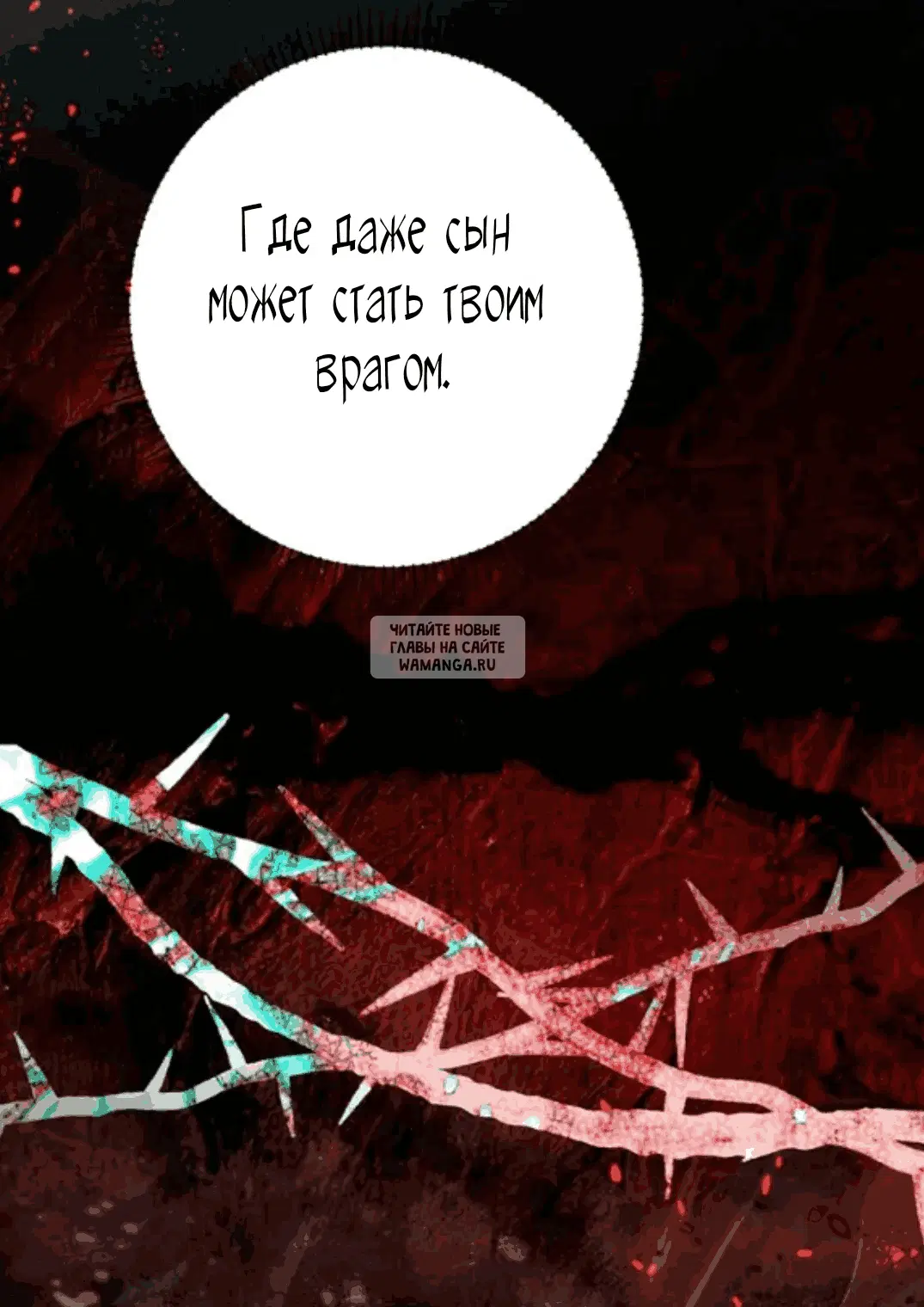 Page 81.000