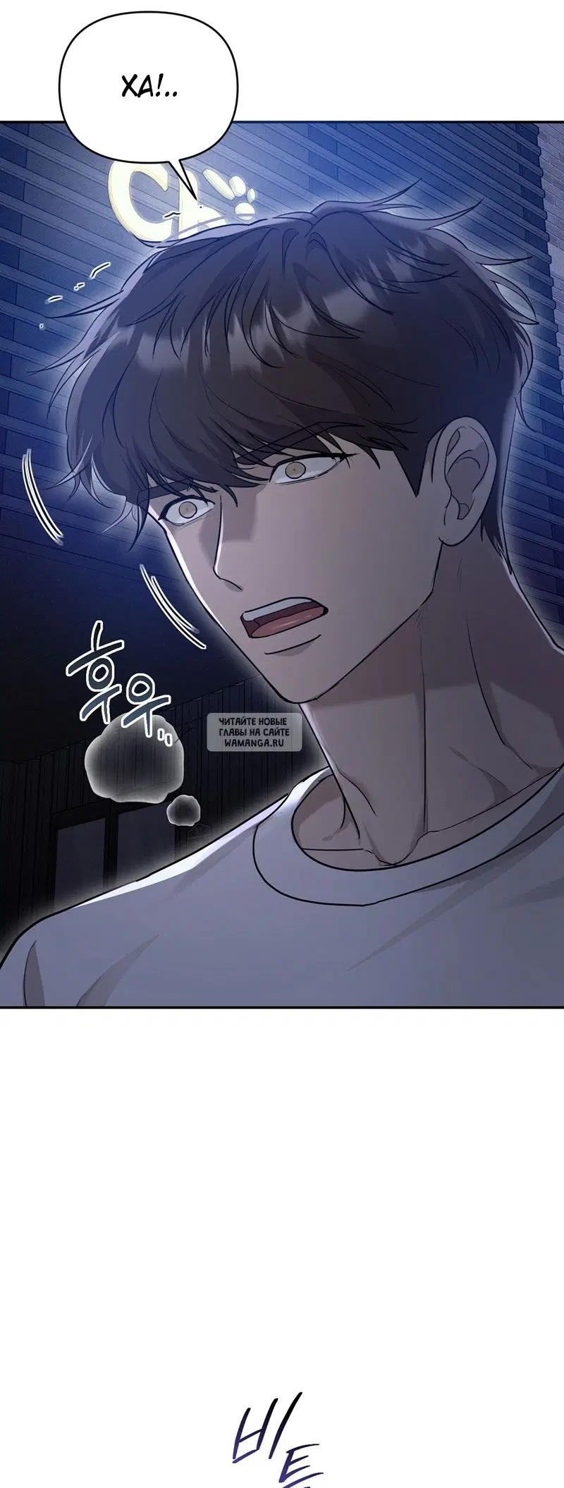 Page 41.000