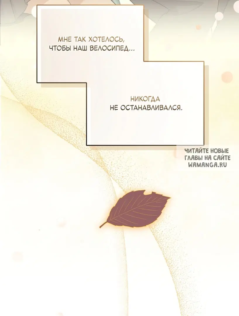 Page 51.000