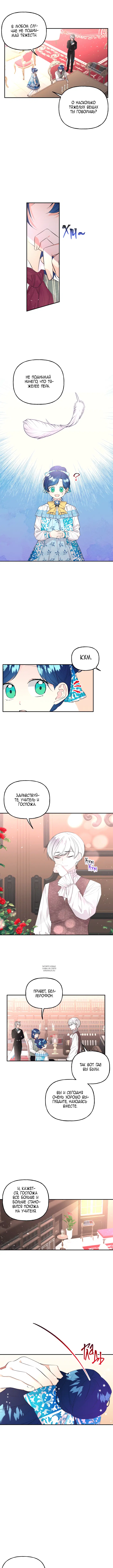 Page 3.000