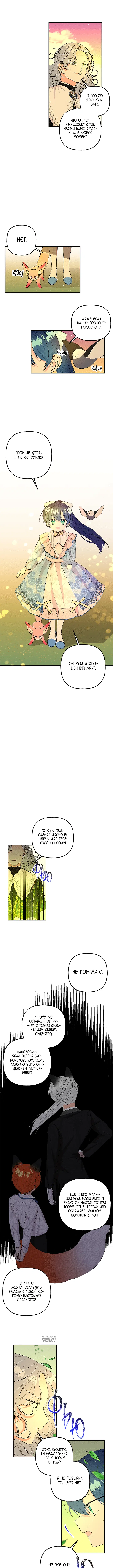 Page 3.000