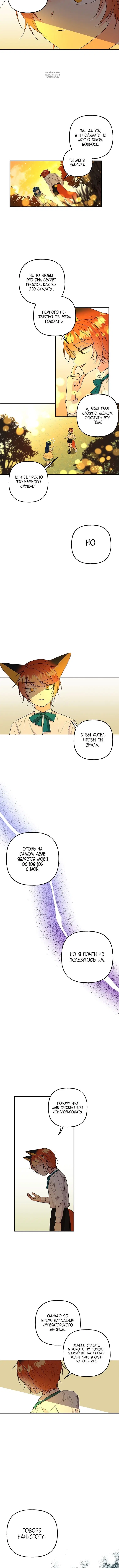 Page 5.001