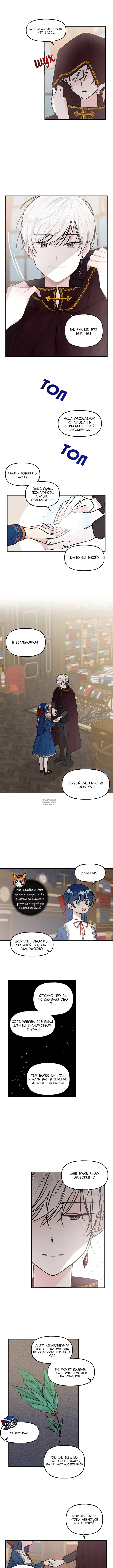 Page 6.000