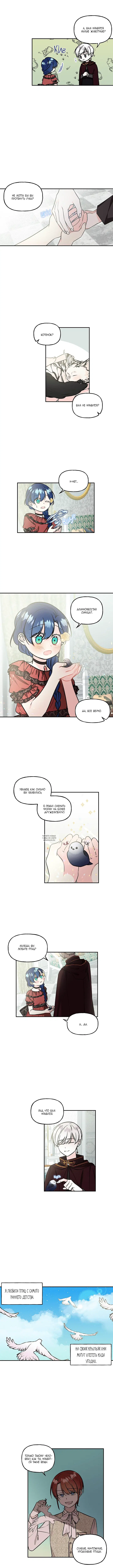 Page 8.000