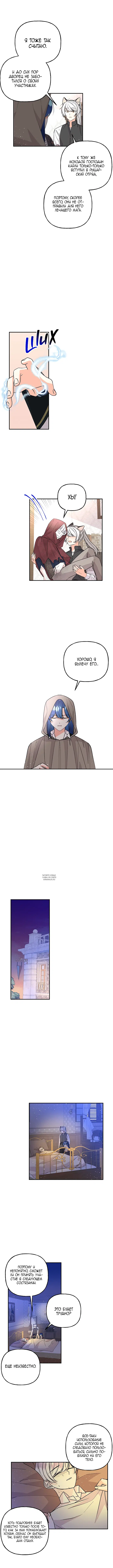 Page 8.000