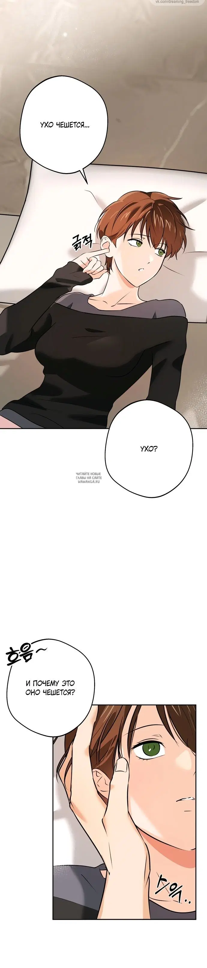 Page 26.000