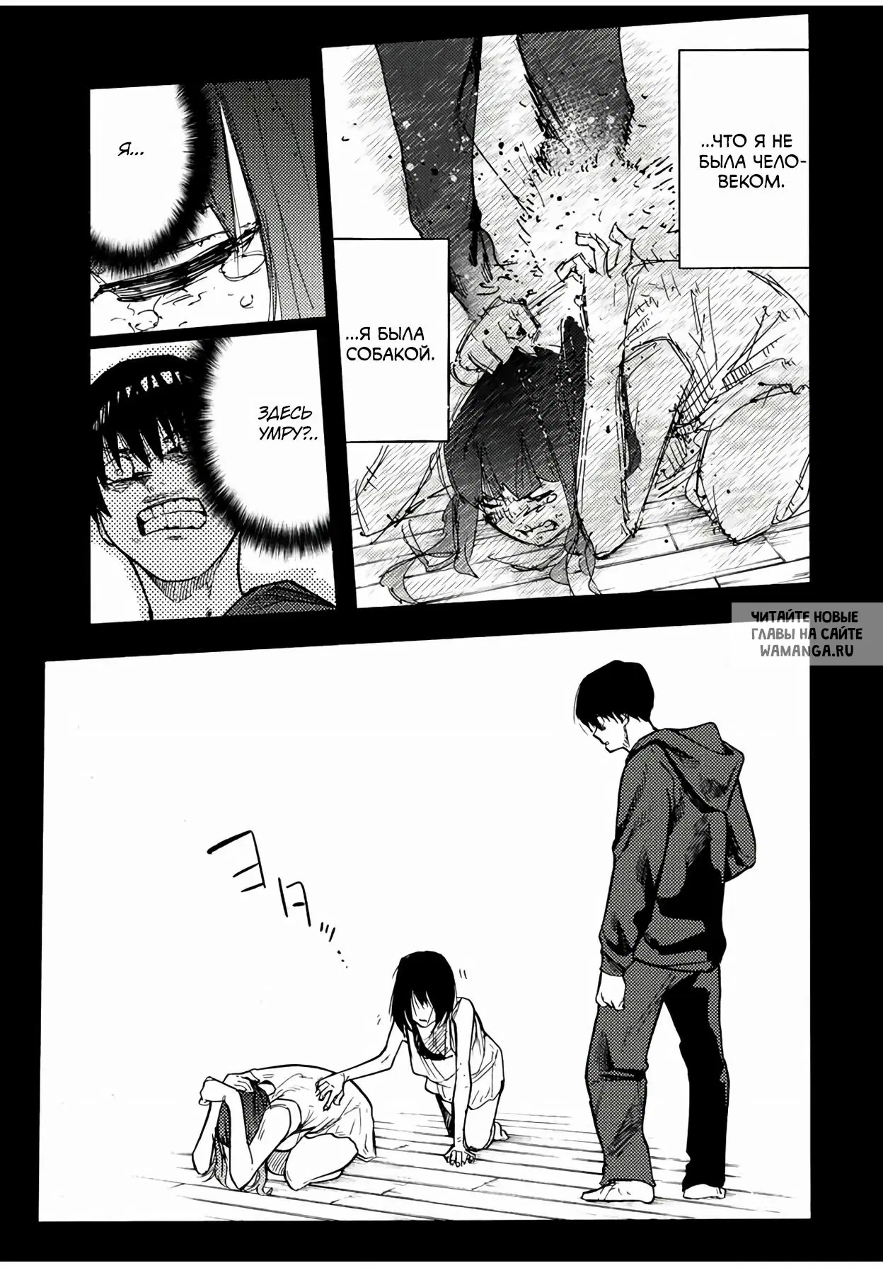 Page 13.000