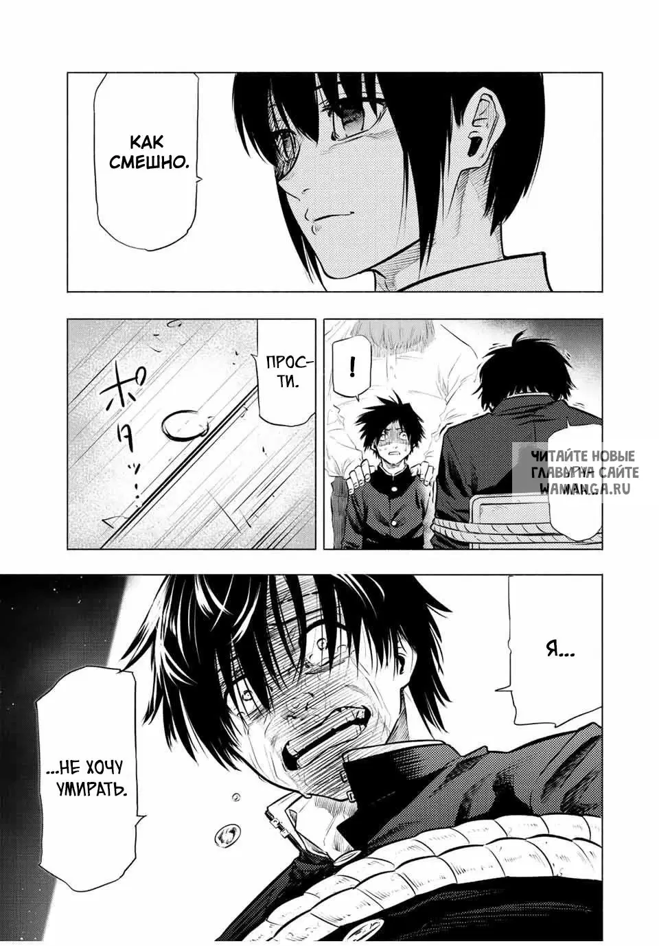 Page 3.000