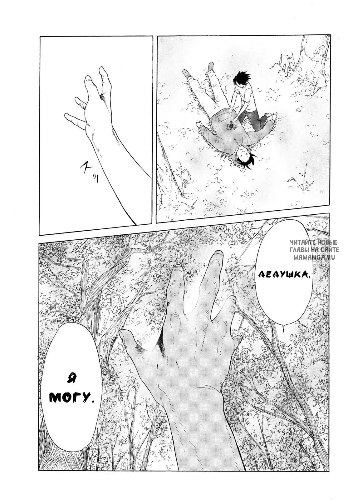 Page 41.000