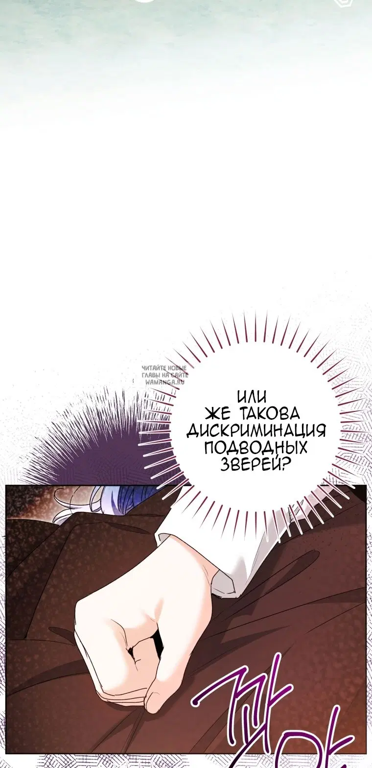 Page 48.000