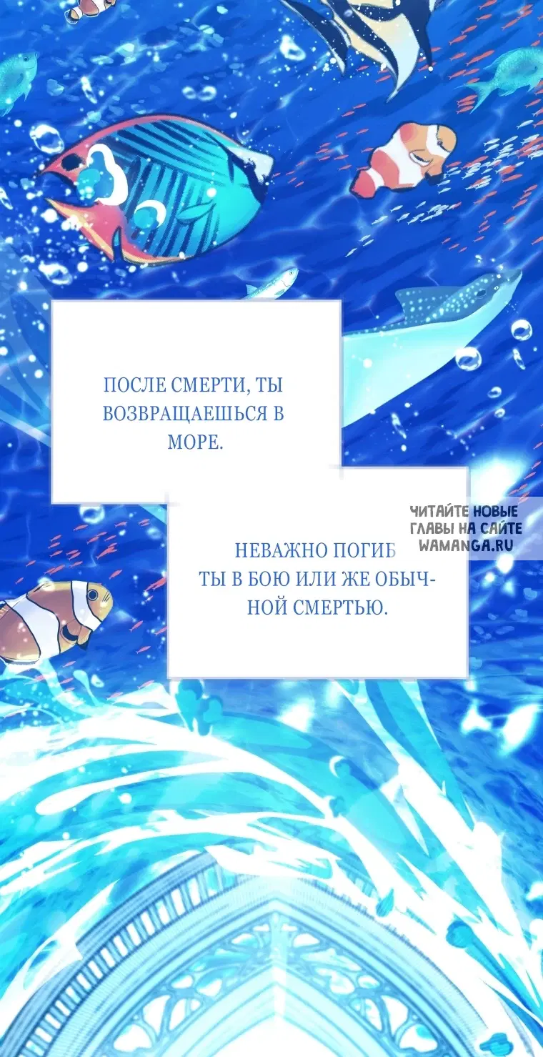 Page 49.000