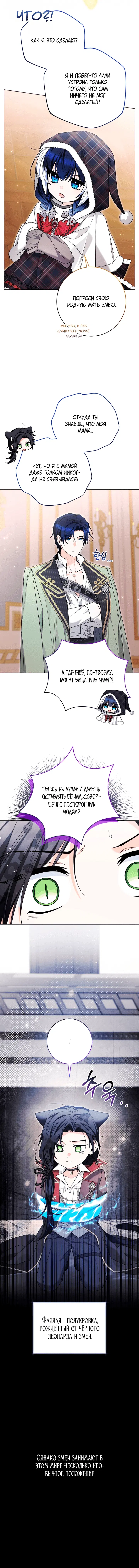 Page 4.001