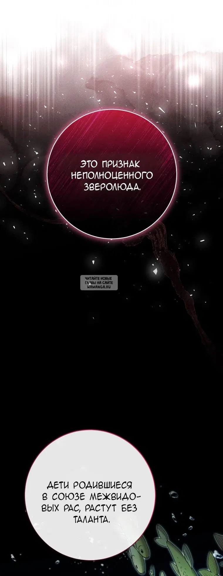 Page 43.000