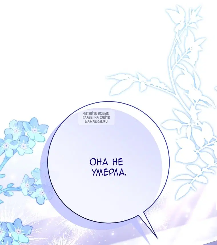 Page 55.000