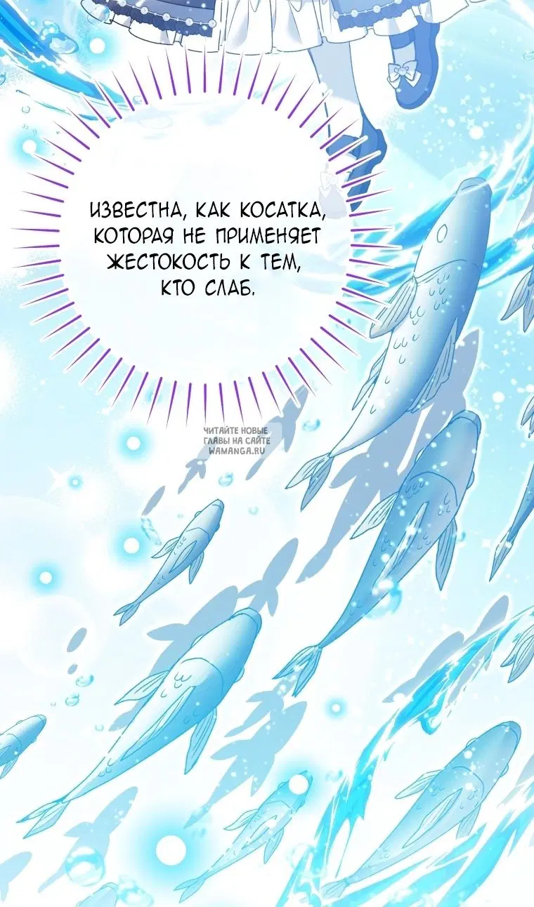 Page 56.000