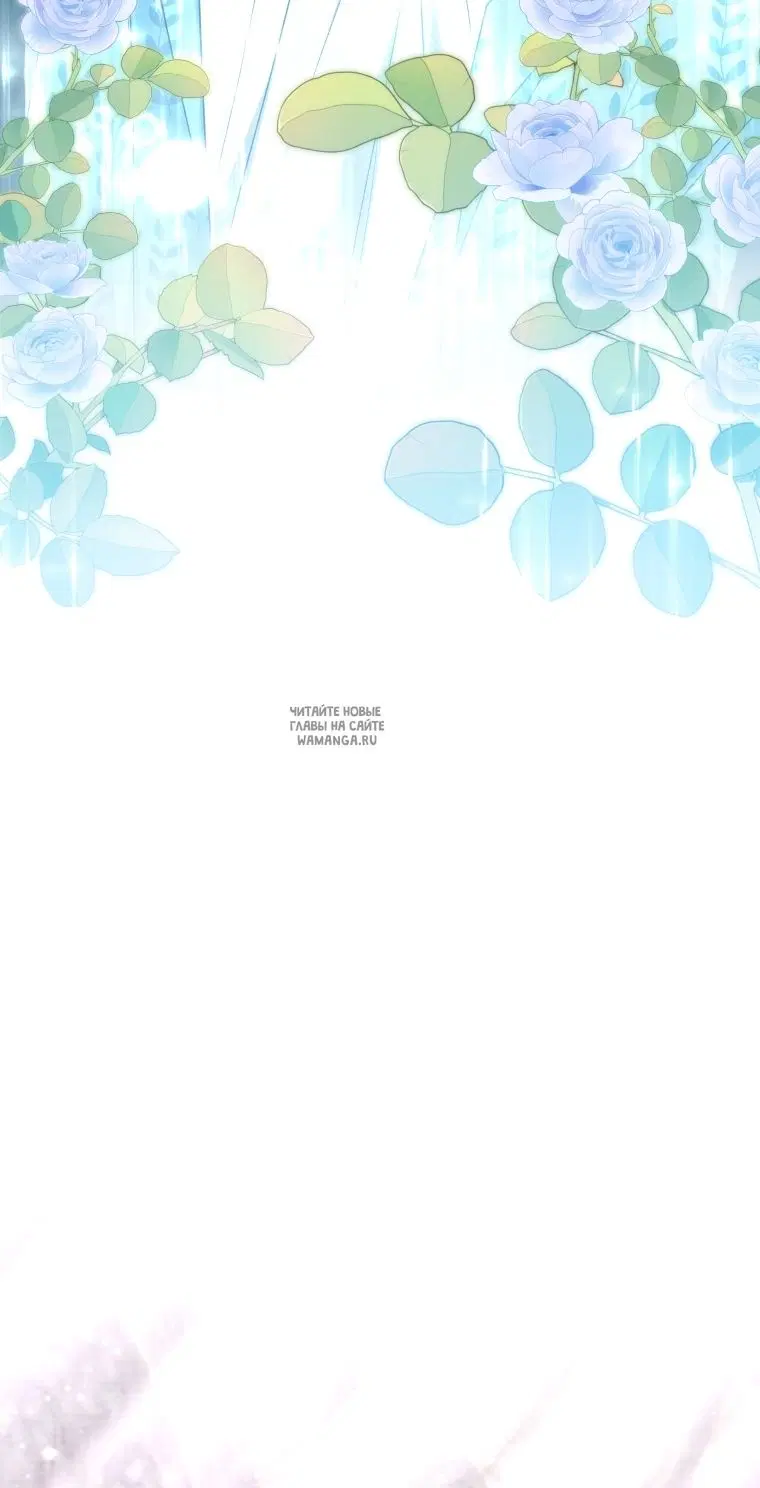 Page 51.000