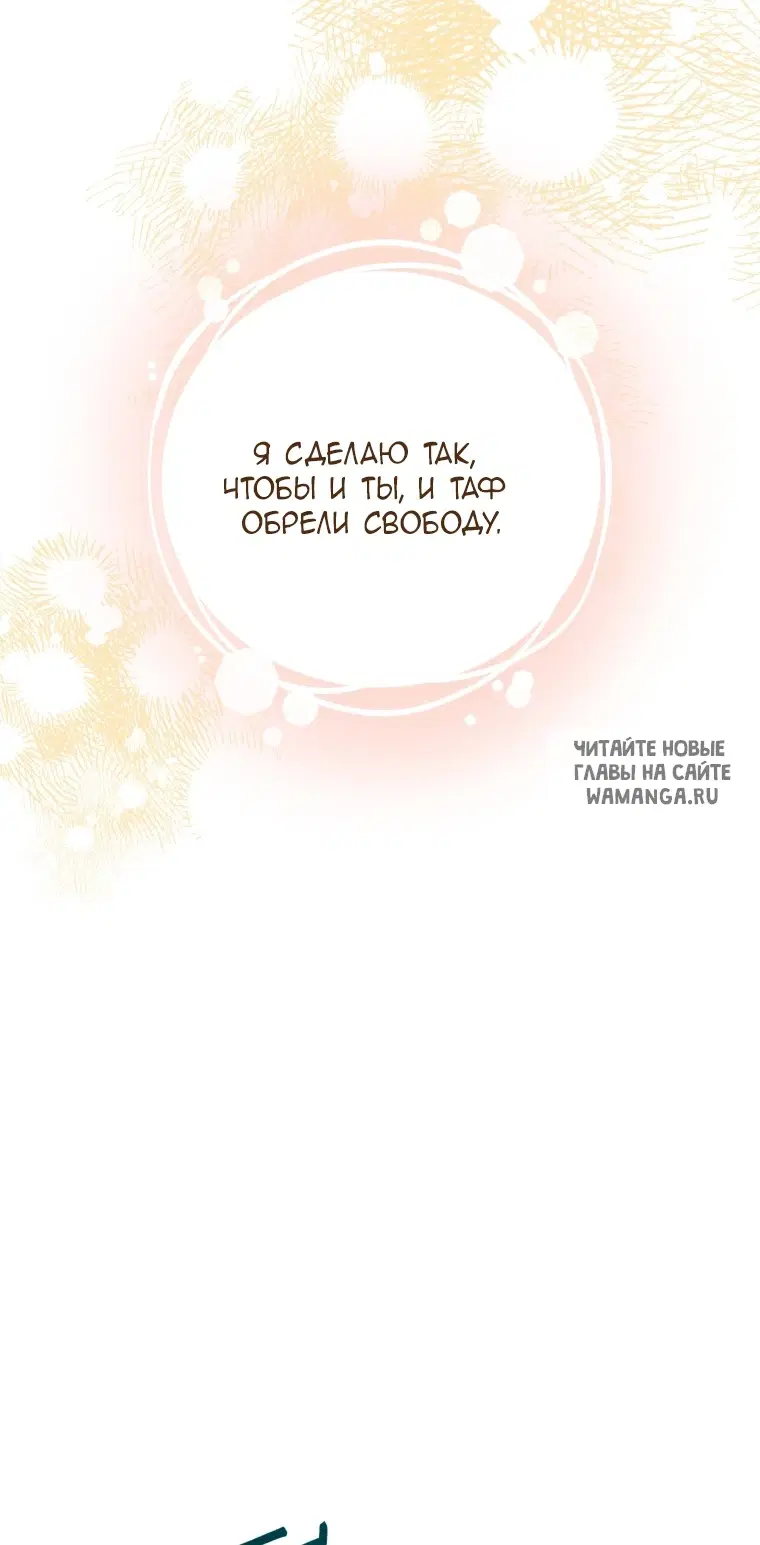 Page 61.000