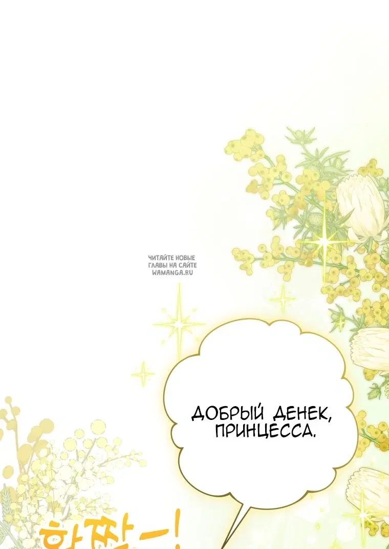 Page 61.000