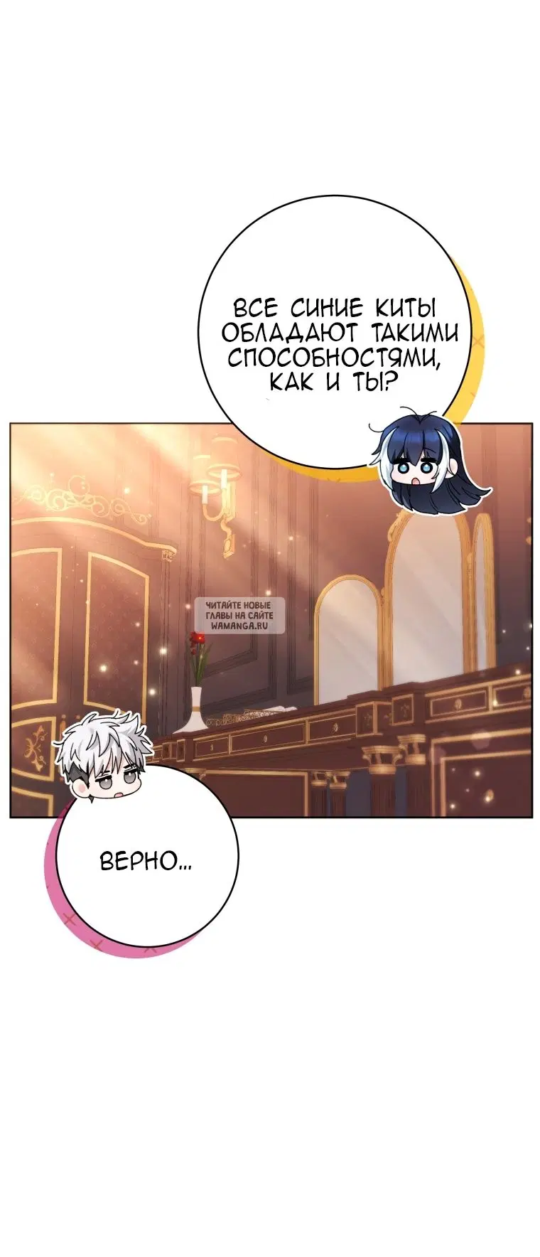 Page 81.000