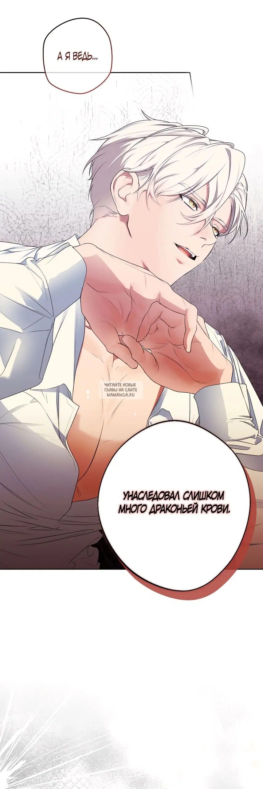 Page 51.000