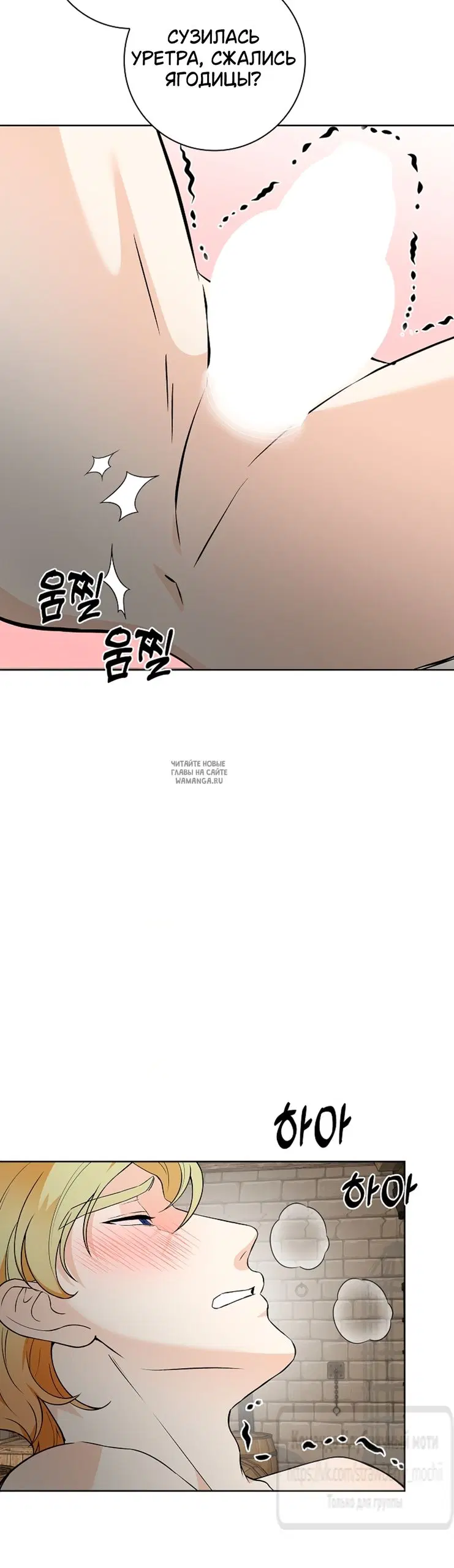 Page 66.000