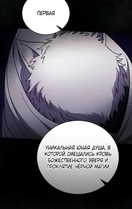 Page 25.000