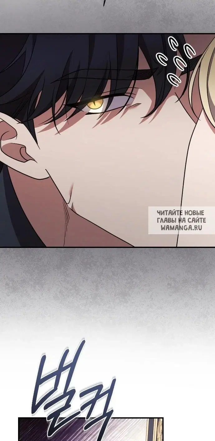 Page 38.000