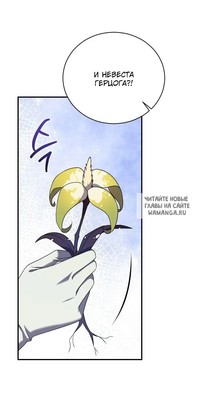 Page 44.000