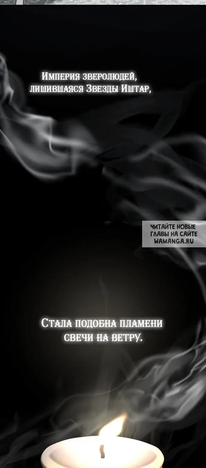 Page 54.000