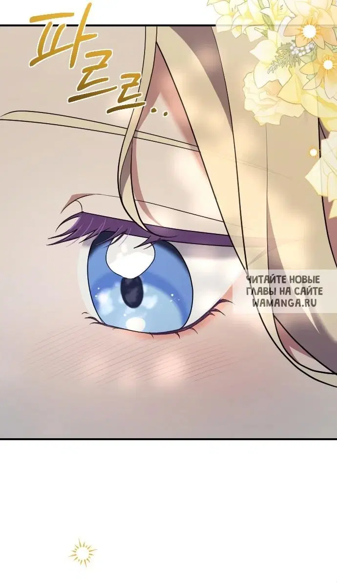 Page 61.000