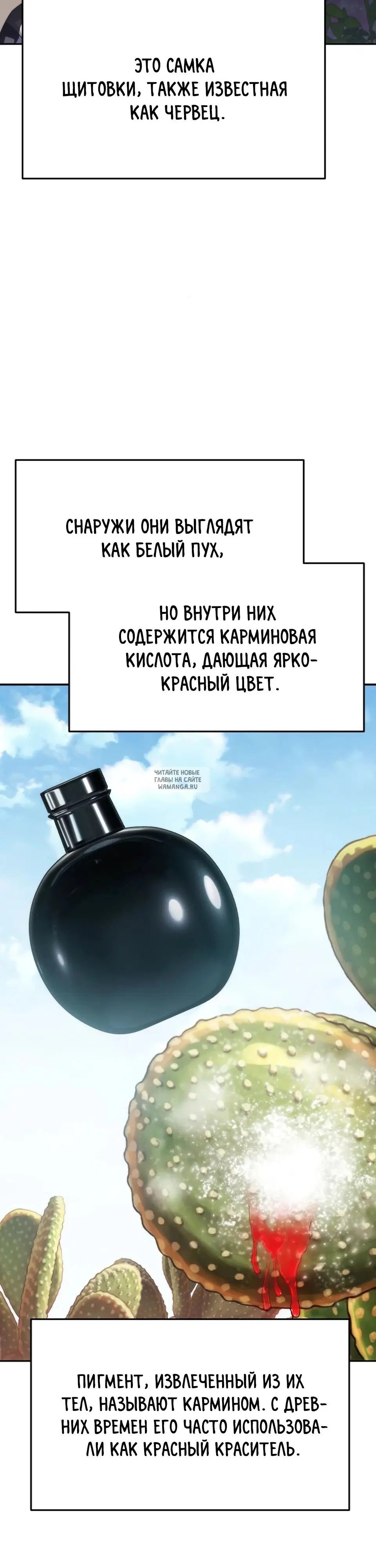 Page 27.000