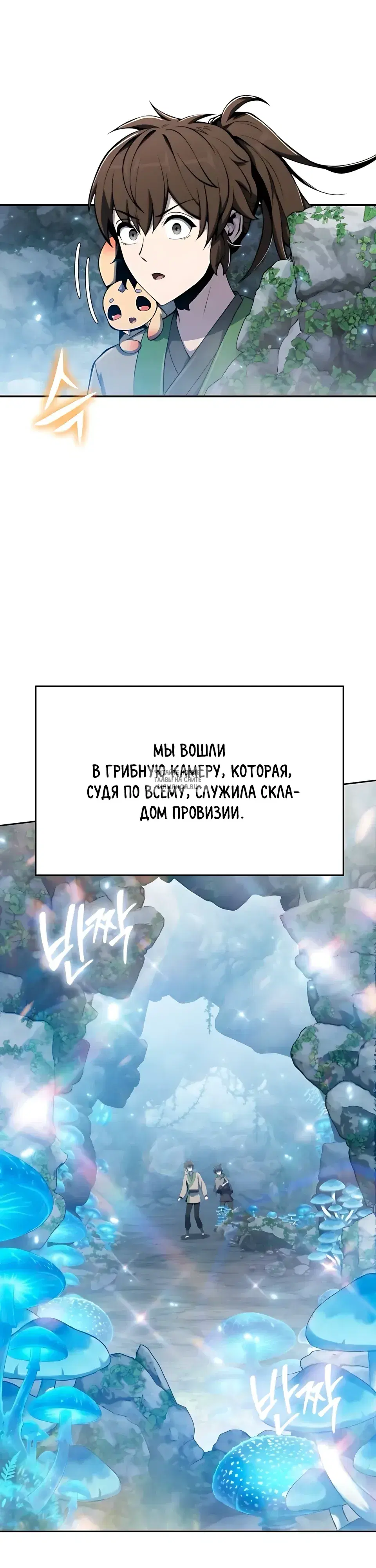 Page 28.000