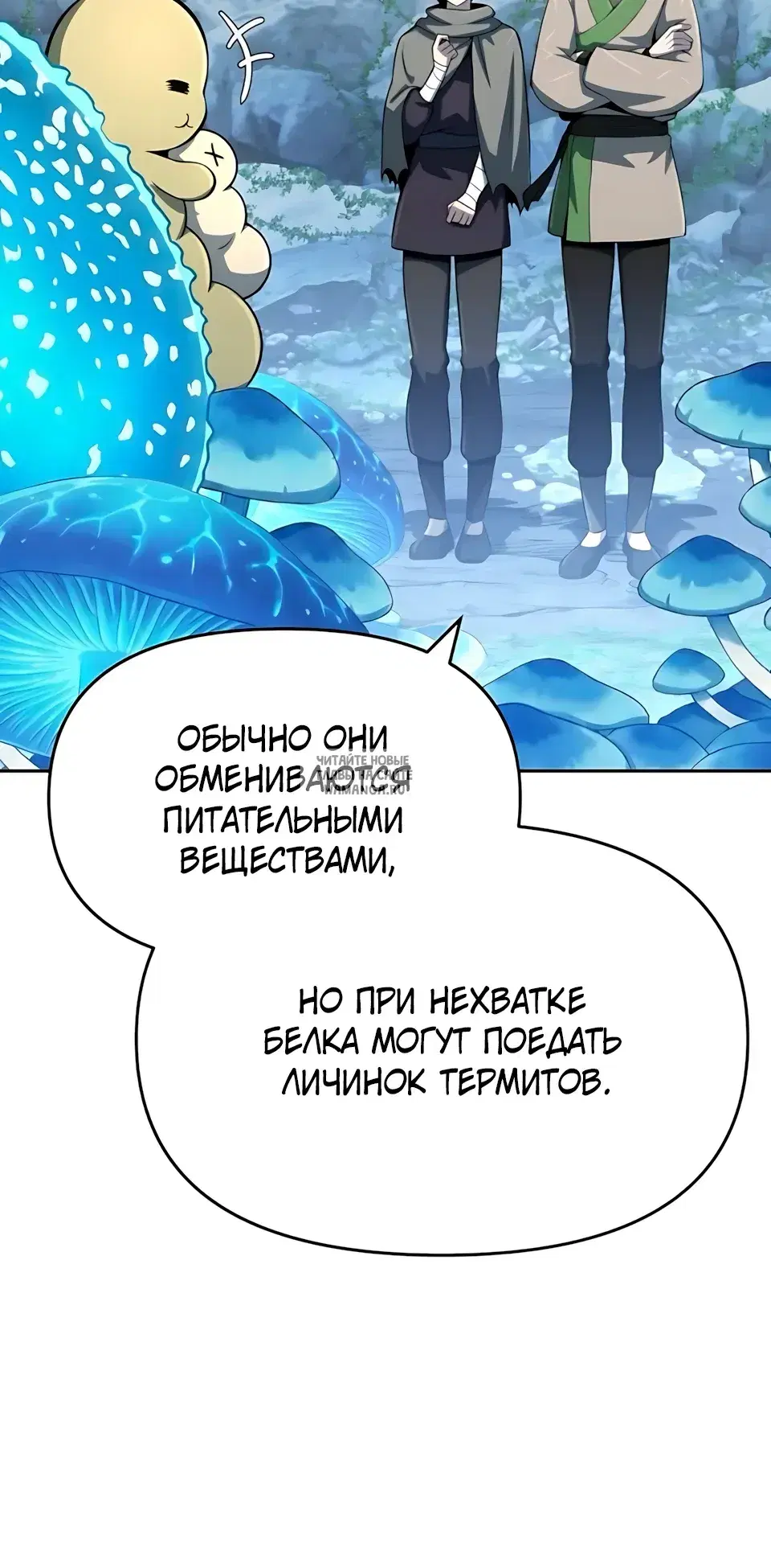 Page 31.000