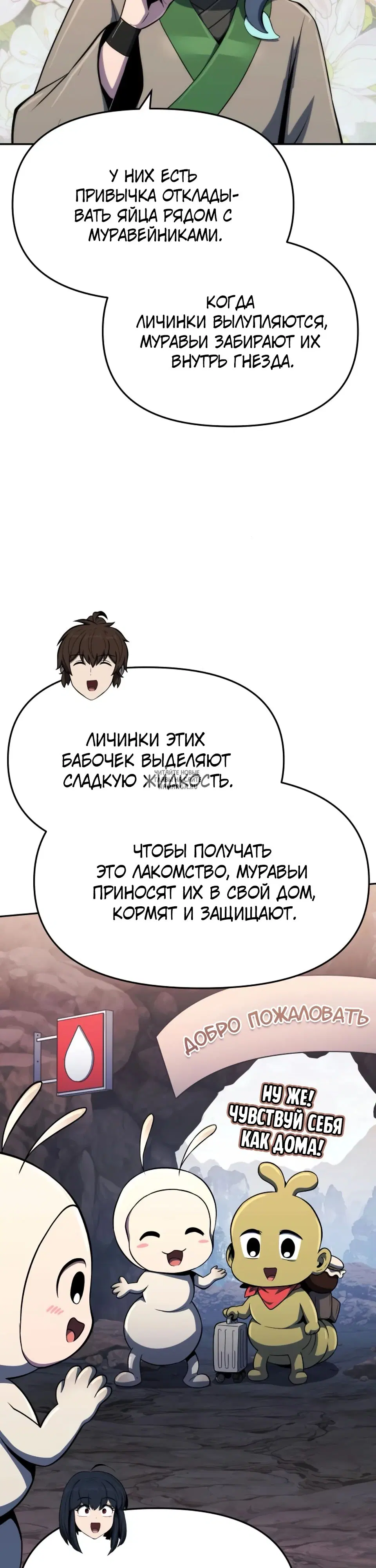 Page 43.000