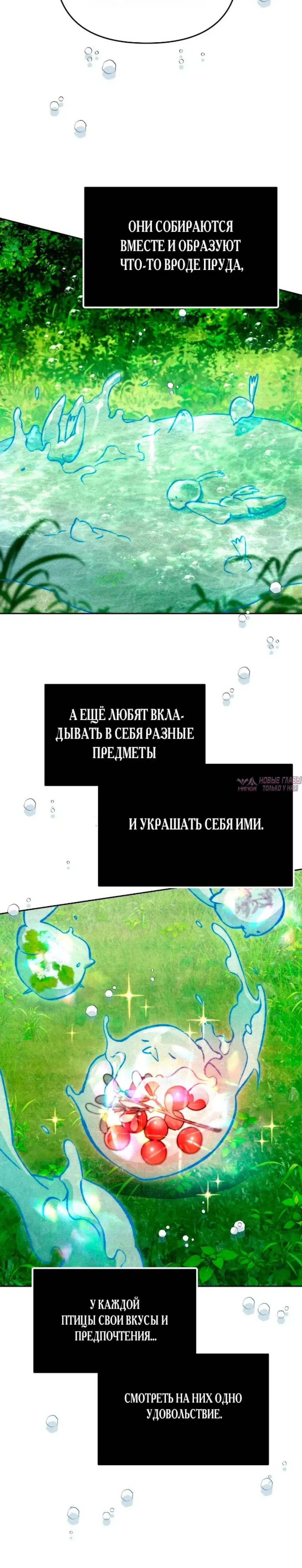 «Художник, рисующий подземелья», глава 8, страница 11.001000000