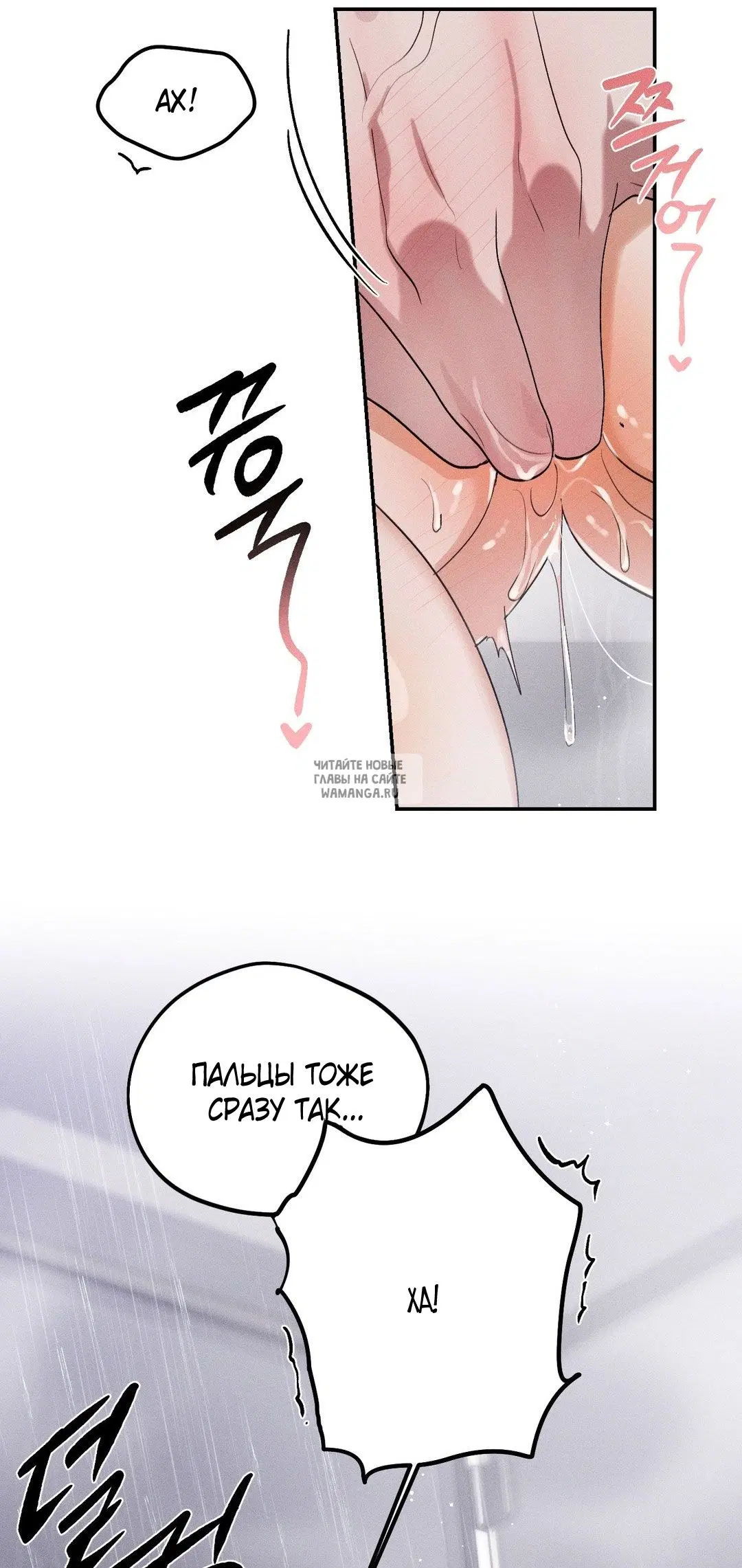 Page 31.000