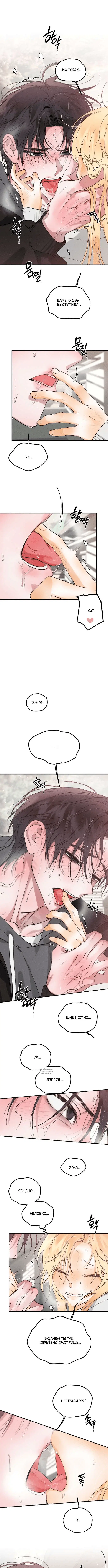 Page 3.000