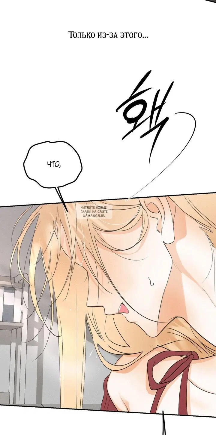 Page 32.000