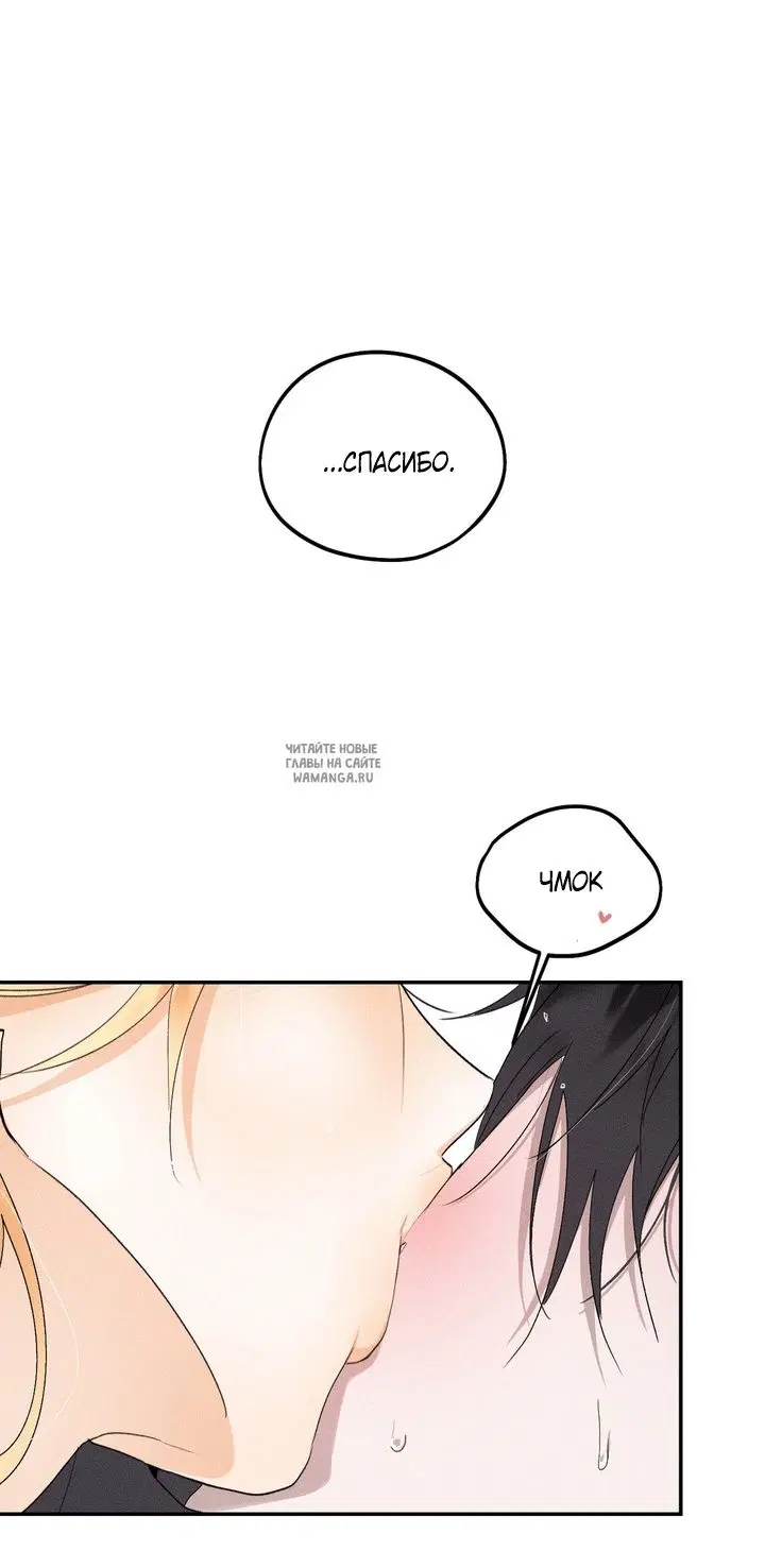 Page 33.000