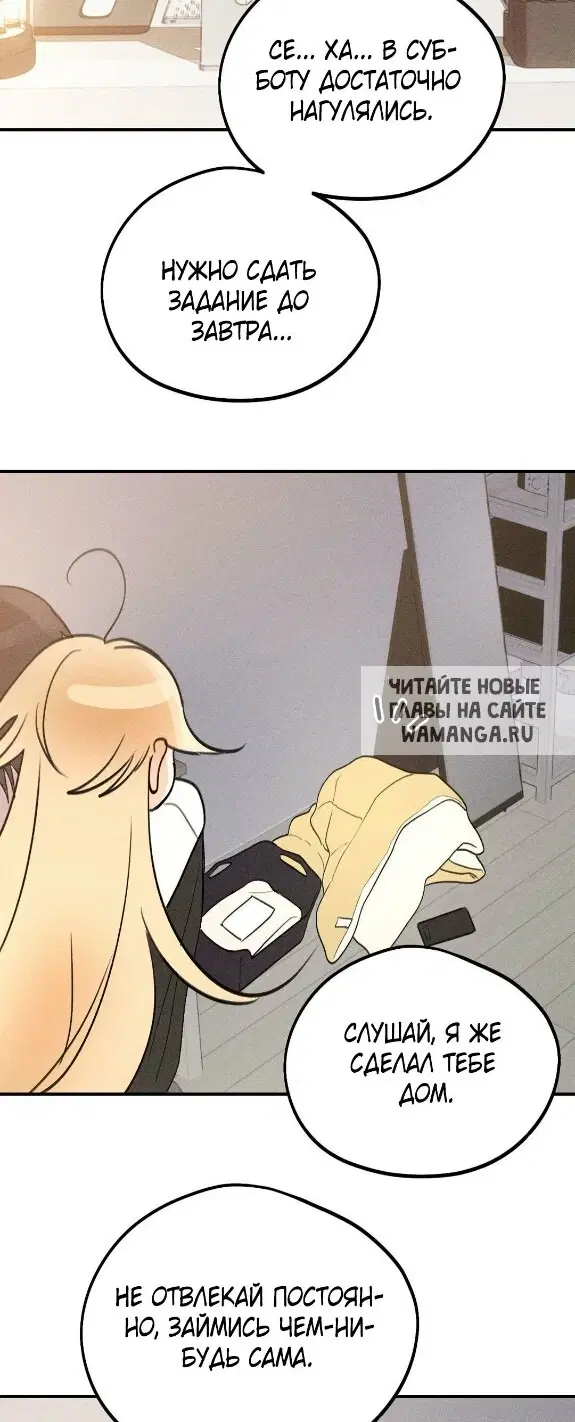 Page 44.000
