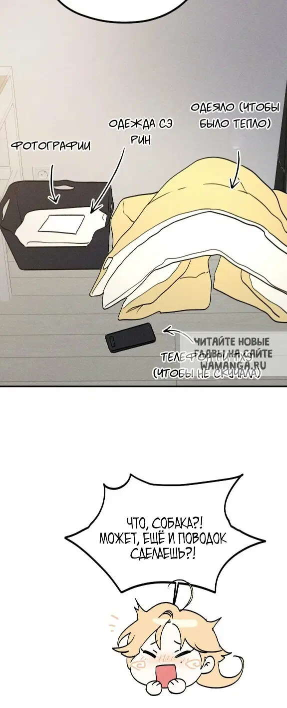 Page 45.000