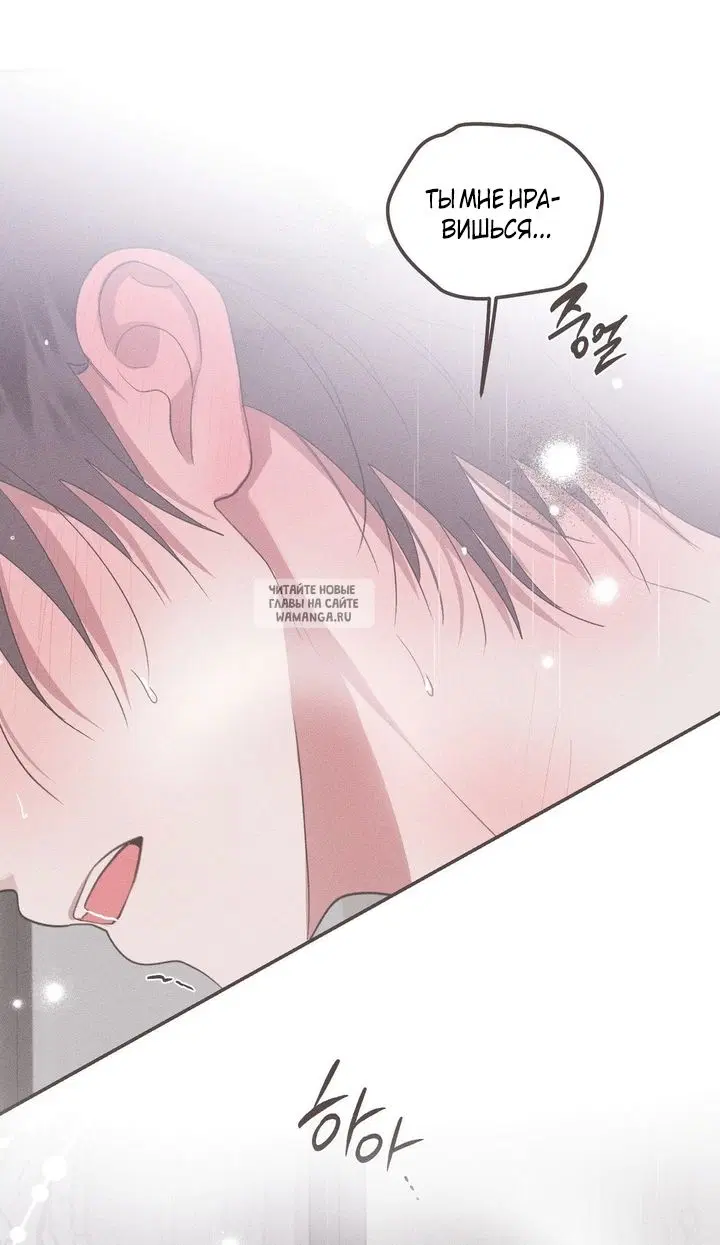 Page 46.000