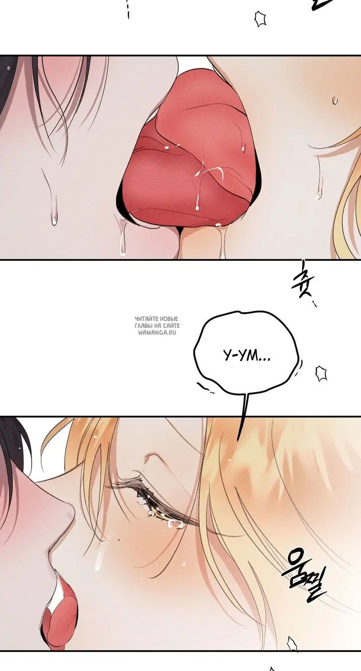 Page 48.000