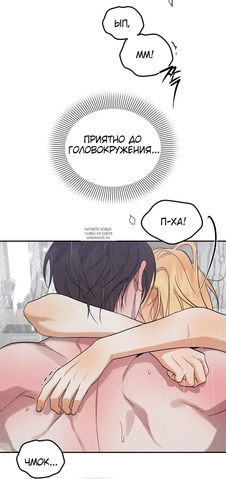 Page 49.000