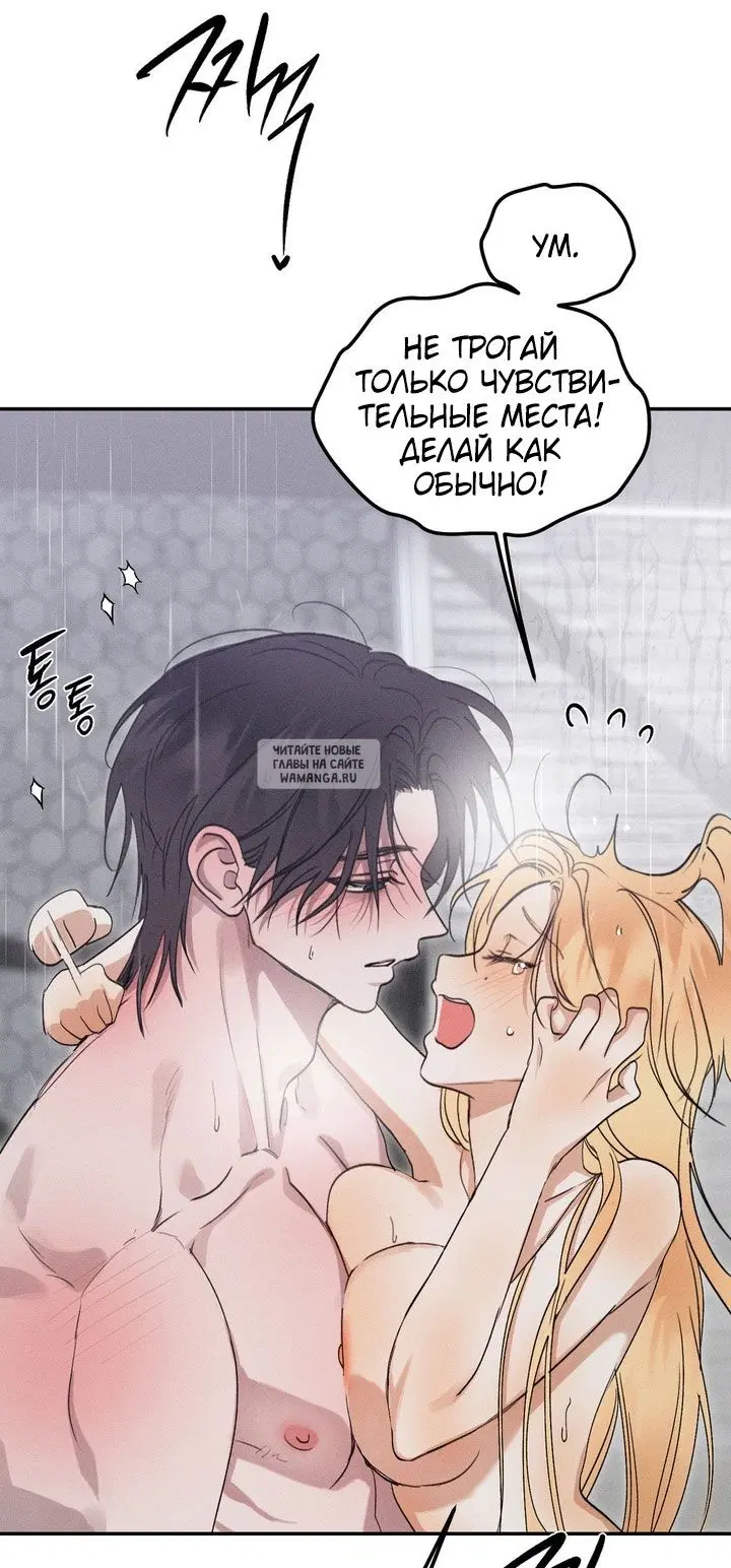 Page 41.000