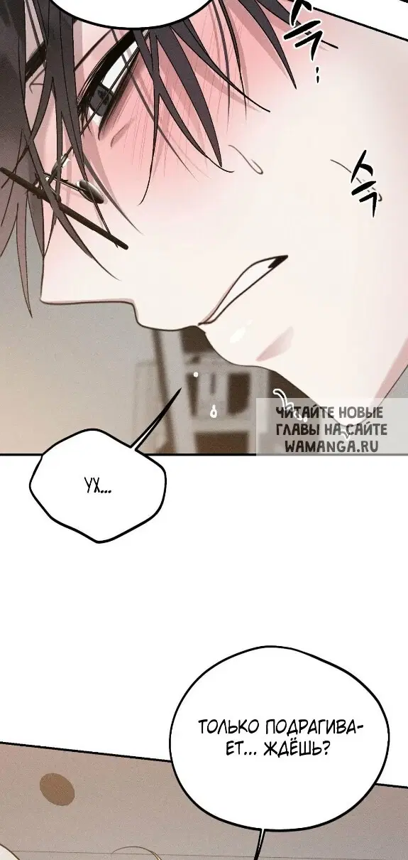 Page 55.000