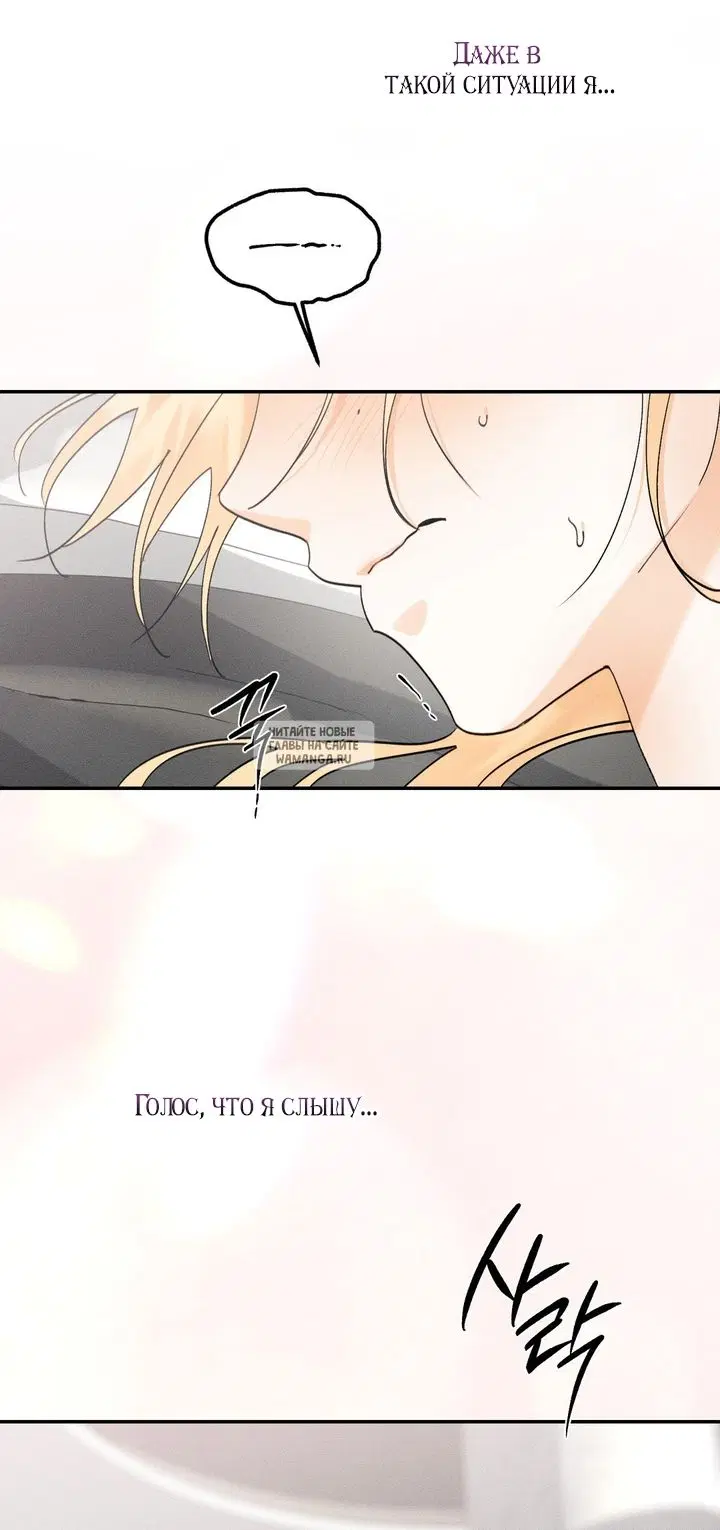 Page 55.000