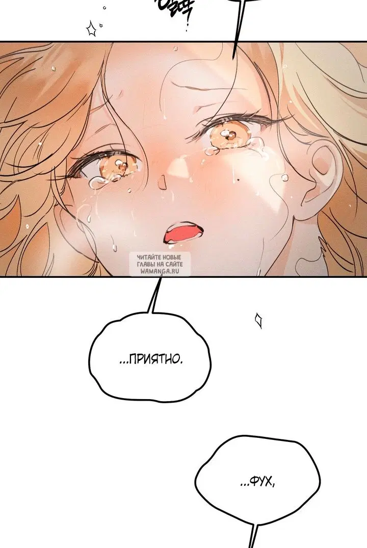 Page 55.000