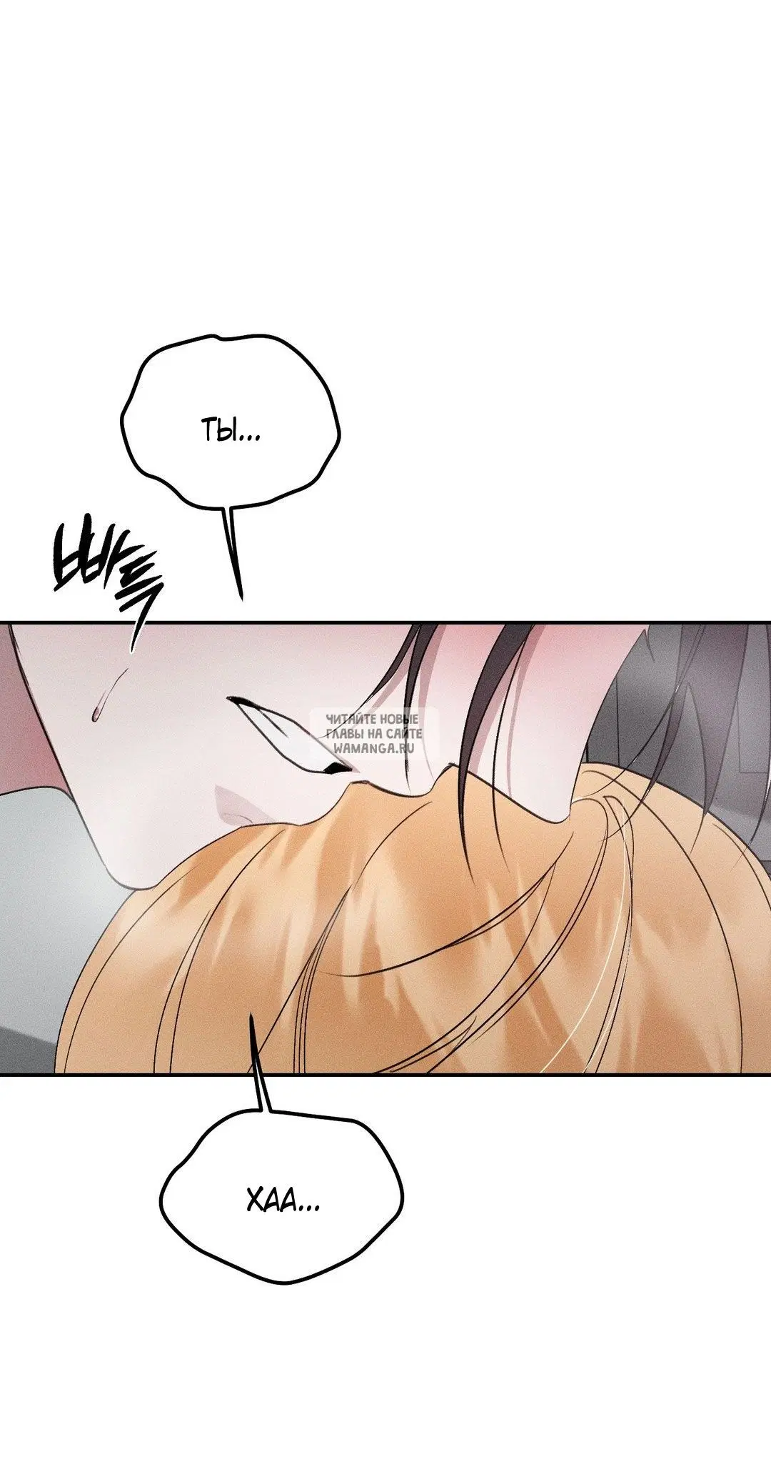 Page 55.000