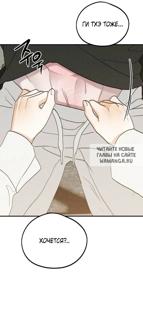 Page 51.000